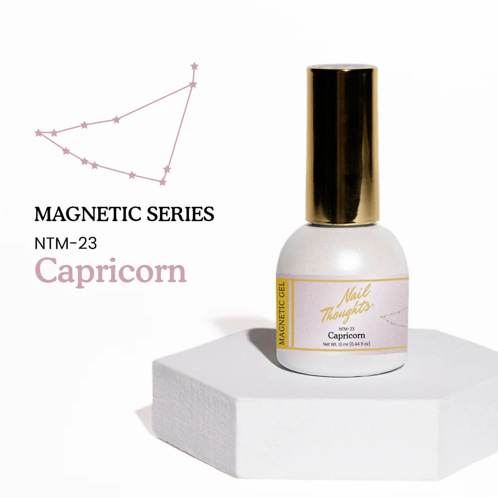 Nail Thoughts NTM-23 Capricorn Magnet Gel Color, 13 ml