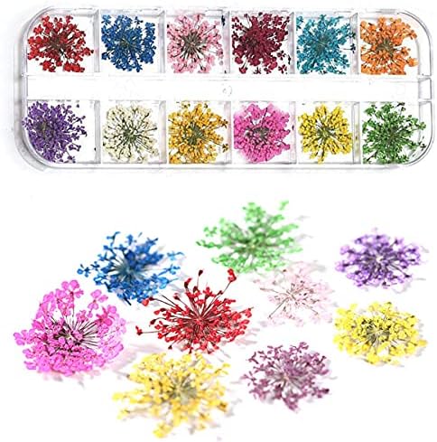 12 Grid Dry Flowers